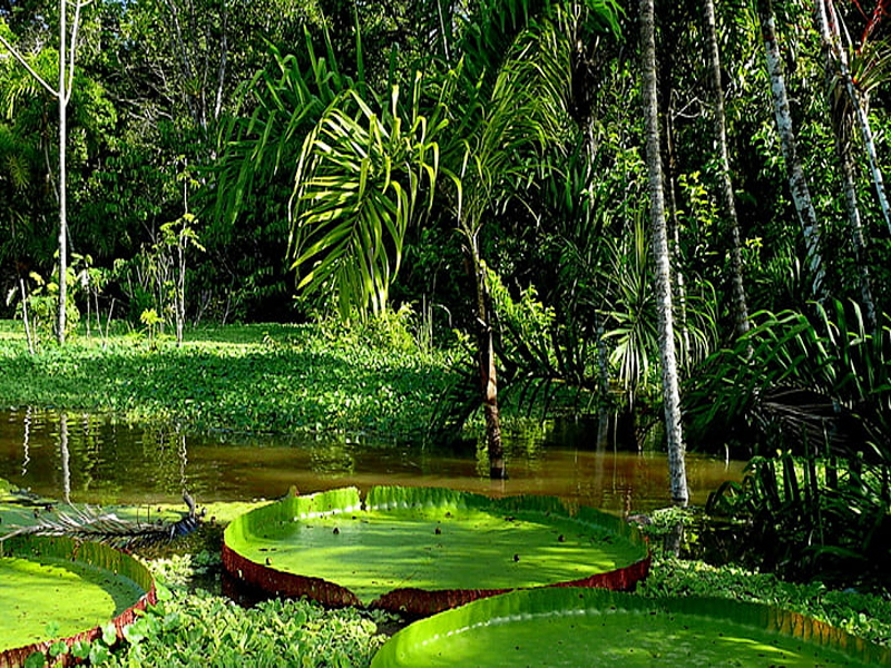 AÑO NUEVO - IQUITOS FANTÁSTICO