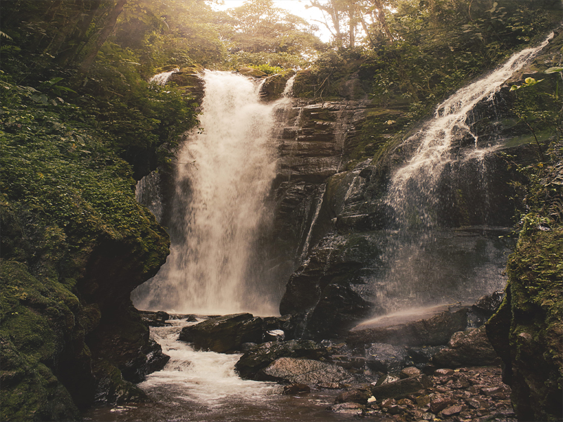 VISITA SELVA CENTRAL