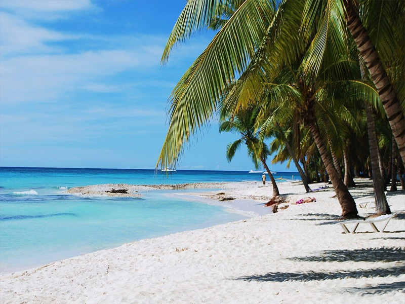 AÑO NUEVO - PUNTA CANA O BAYAHIBE