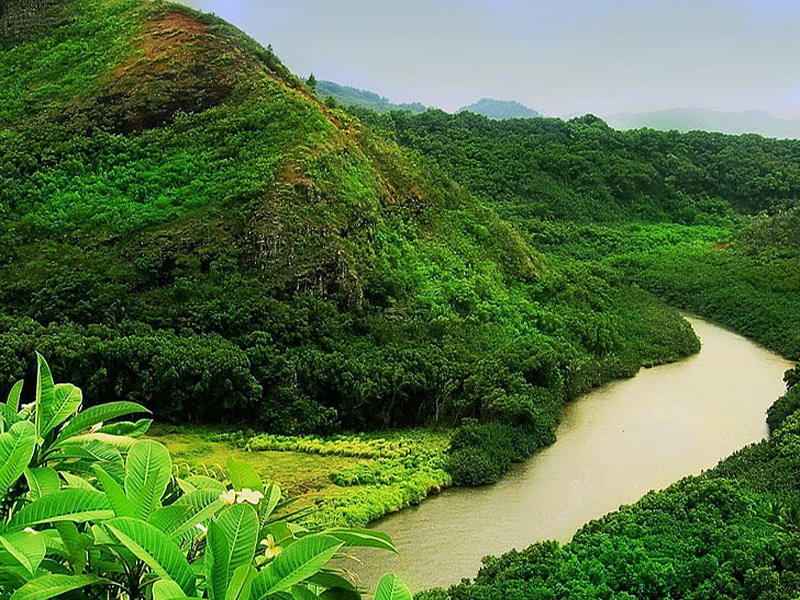 AÑO NUEVO - IQUITOS EXOTICO