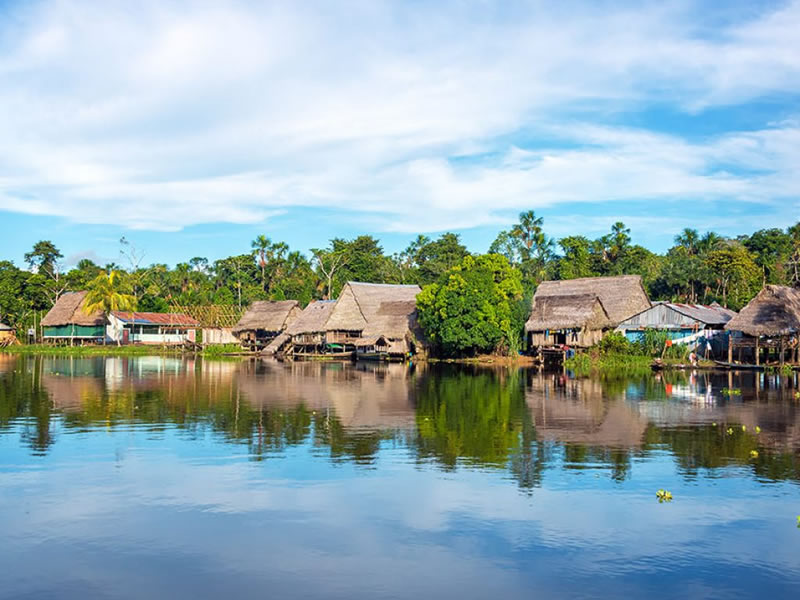 AÑO NUEVO - IQUITOS EXOTICO